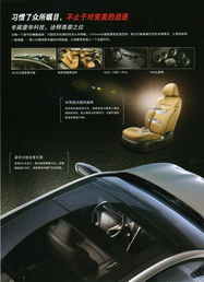 常德星都汽車銷售服務 專業品質，駕享未來